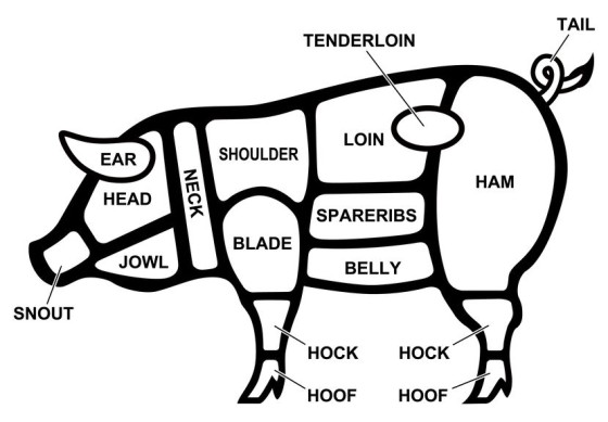 鹿児島と言えば黒豚？！オリジナルTシャツで名産品のプロモーション！