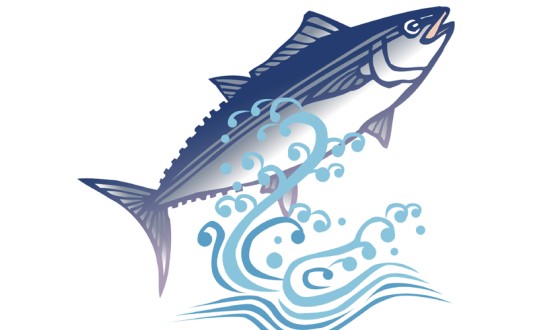 カツオの躍動感をデザインに！特産品オリジナルTシャツ・高知編