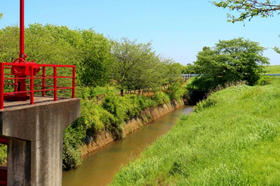 なぜか不思議な高揚感が得られる~昔ながらの水路探検の愉しみ方