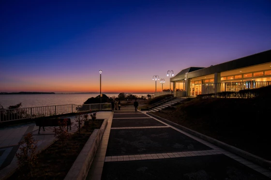 深夜こそ魅力満開！人気の高速道路のサービスエリアとおすすめグルメ