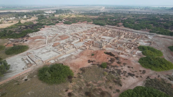 モヘンジョダロはなぜ滅亡した？！衰退の謎に迫る