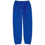 ロイヤルブルー