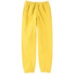 カナリアイエロー