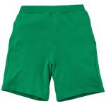 ケリーグリーン