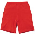 ブライトレッド