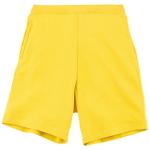 カナリアイエロー