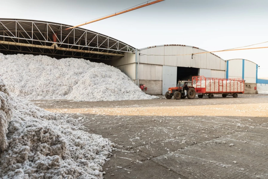 Tシャツもサステナブル・コットンの比率を高めることが今後の課題